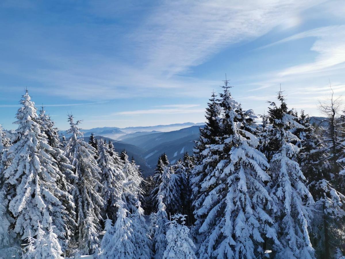 Koliba Na Vrsku Hotel Bytca Bagian luar foto
